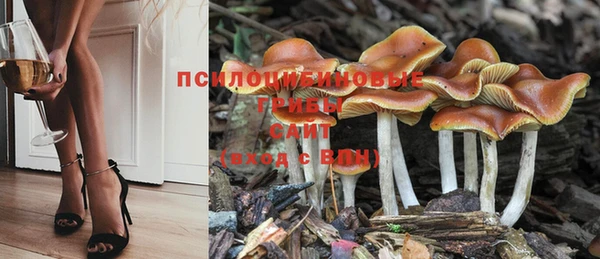 ешки Беломорск