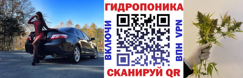 Марихуана конопля  сколько стоит  Бородино 